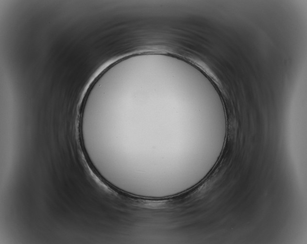 X0000083531484200703021538