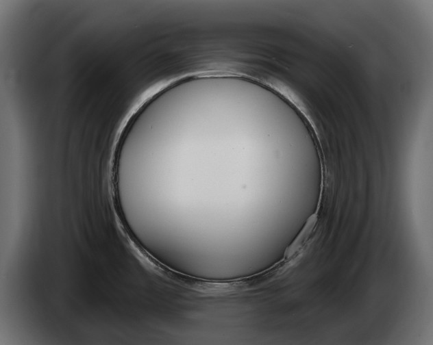 X0000083531485200703021538