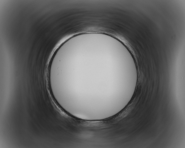 X0000083531486200703021538