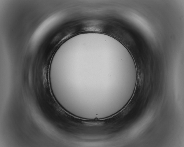 X0000083531487200703021538