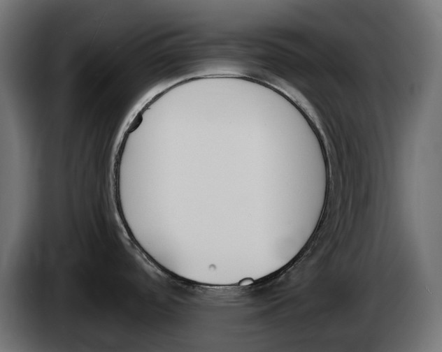 X0000083531488200703021538