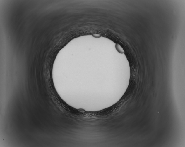 X0000083531489200703021537