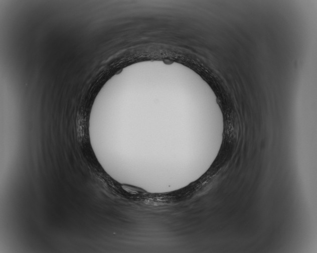 X0000083531490200703021537