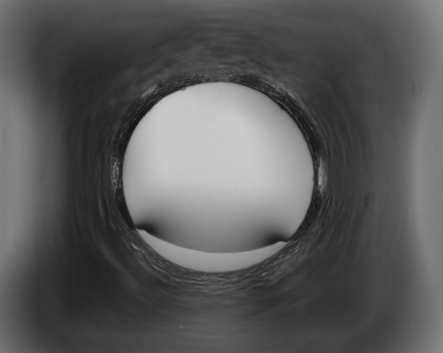 X0000083531492200703021537