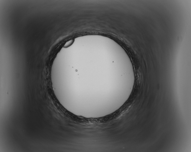 X0000083531494200703021537