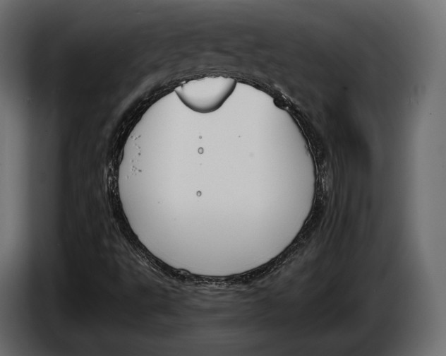 X0000083531495200703021537