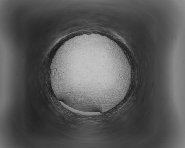 X0000083531496200703021537