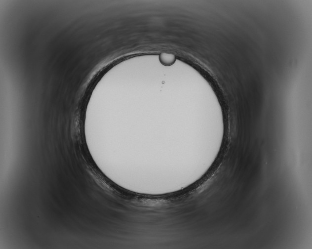 X0000083531498200703021537