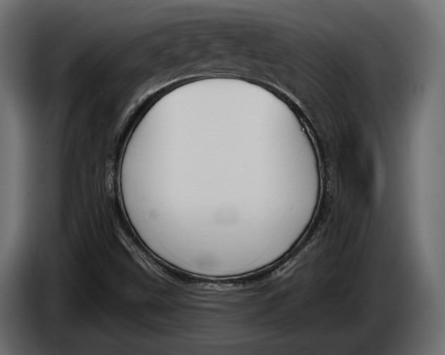 X0000083531499200703021537