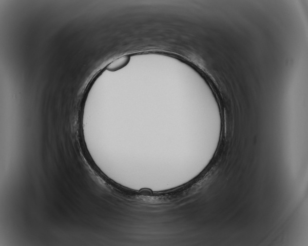 X0000083531500200703021538