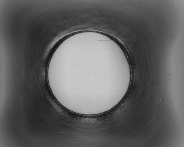 X0000083531503200703021538