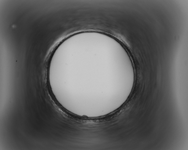 X0000083531504200703021538