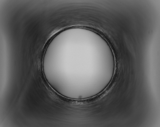 X0000083531505200703021538