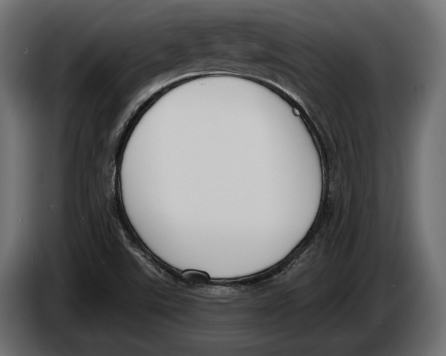 X0000083531507200703021538