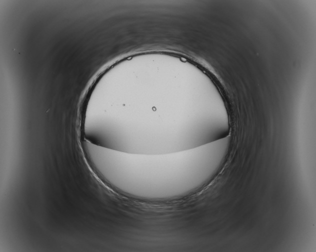 X0000083531508200703021538