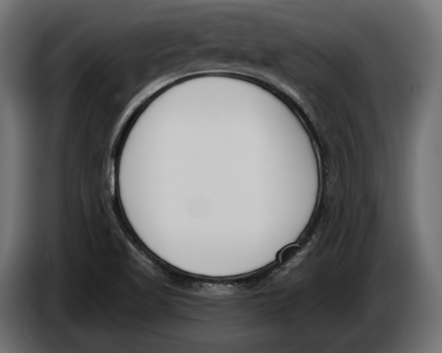 X0000083531509200703021538