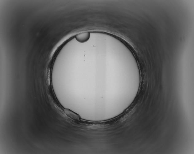 X0000083531510200703021538