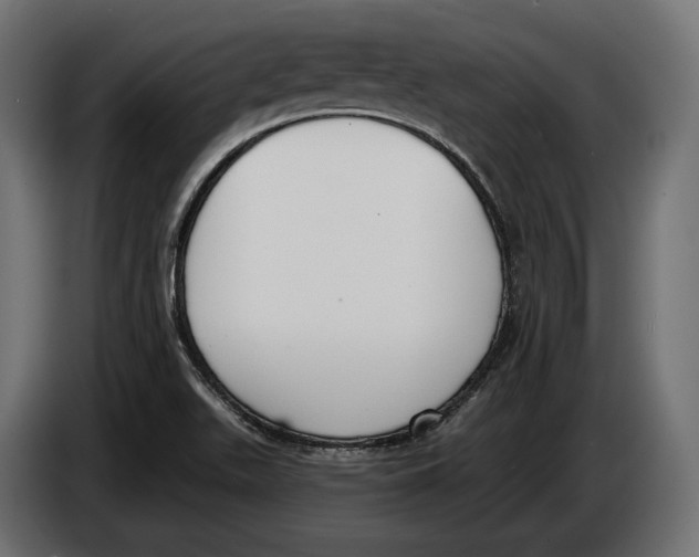 X0000083531511200703021538