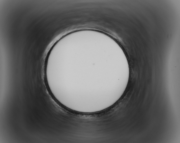 X0000083531512200703021538