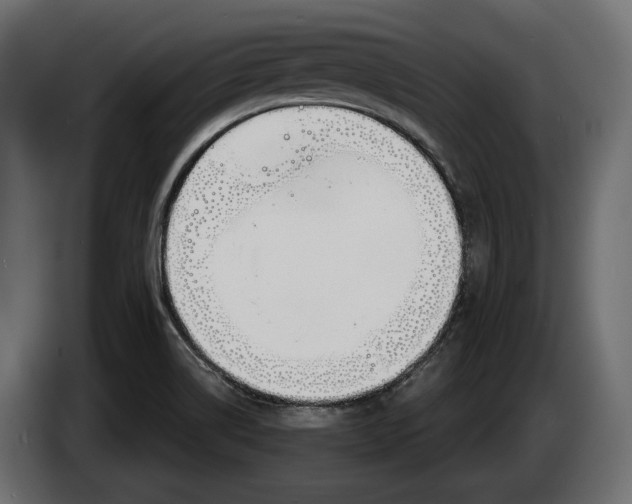 X0000083531514200703021538