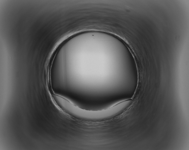 X0000083531515200703021538