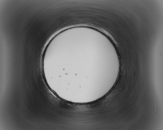 X0000083531516200703021538