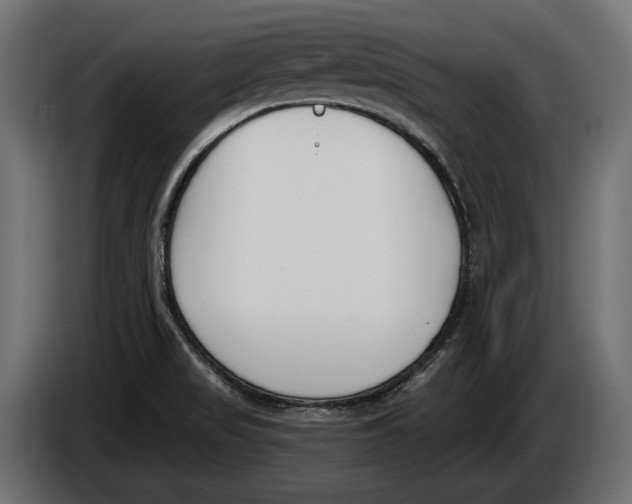 X0000083531517200703021538