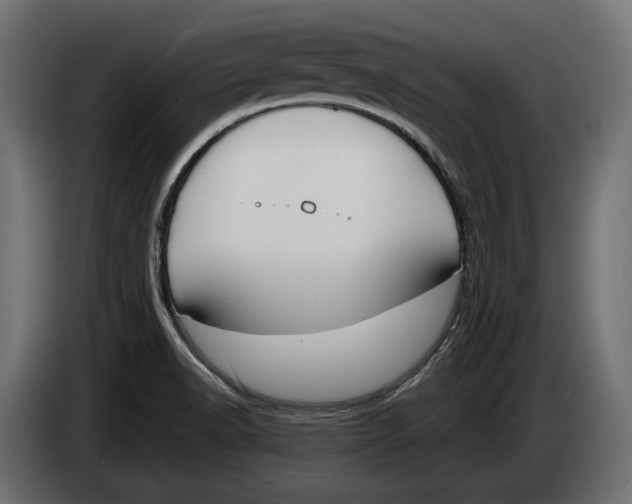 X0000083531518200703021538