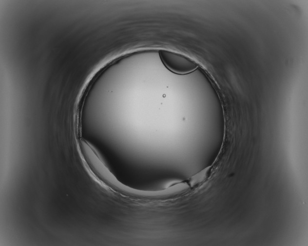 X0000083531519200703021538