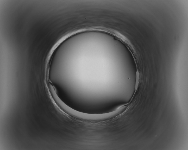 X0000083531520200703021538