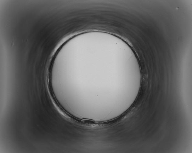 X0000083531523200703021538