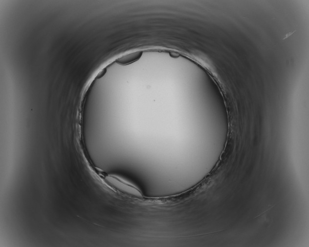 X0000083531524200703021538