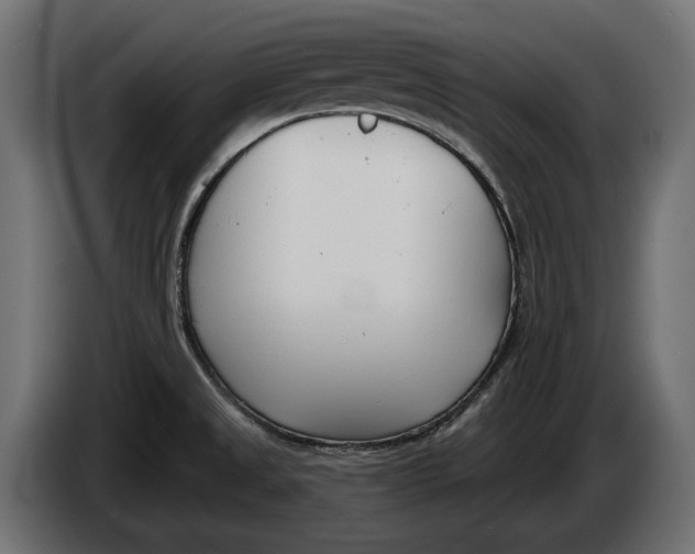 X0000083531525200703021538