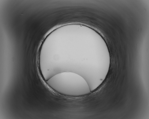 X0000083531526200703021538