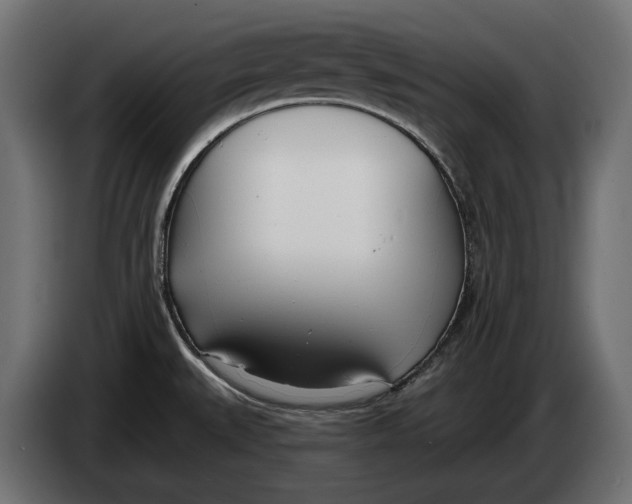 X0000083531527200703021538