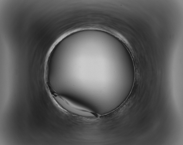 X0000083531528200703021538