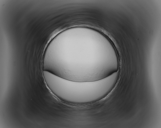 X0000083531529200703021538