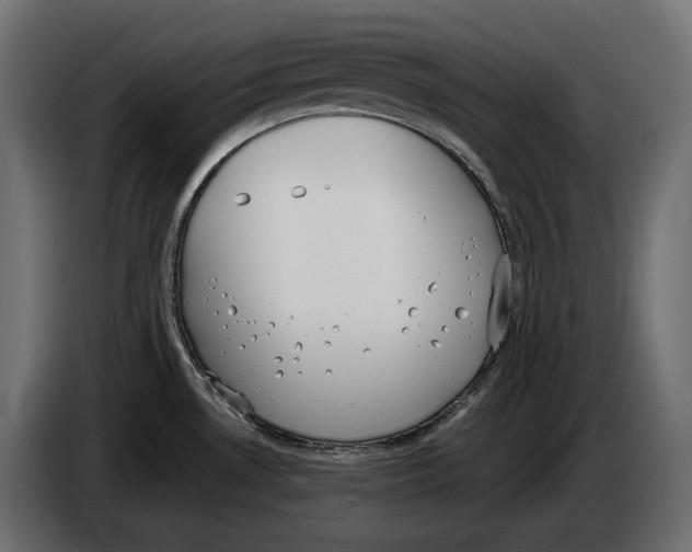 X0000083531530200703021538