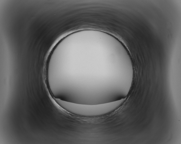 X0000083531531200703021538