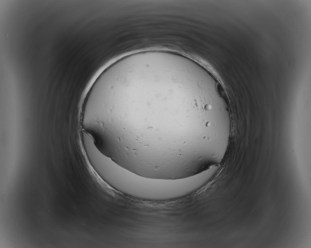 X0000083531532200703021538