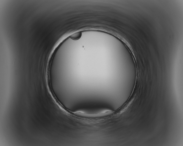 X0000083531533200703021538