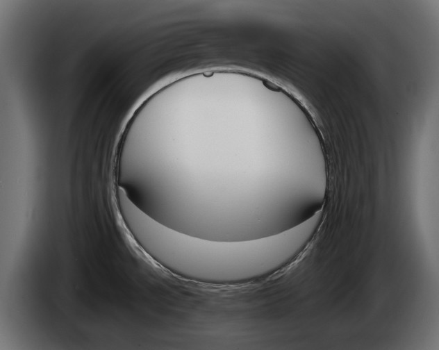 X0000083531534200703021538