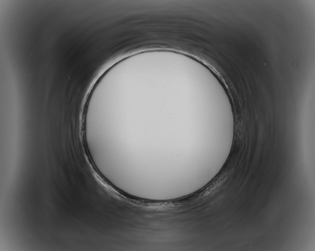 X0000083531535200703021538