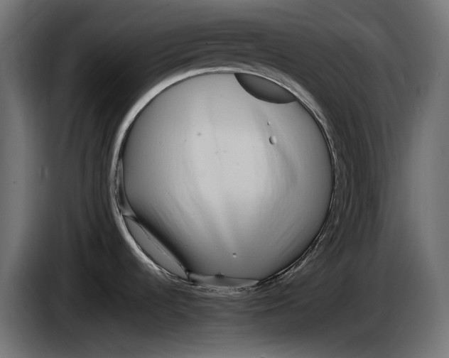 X0000083531536200703021538