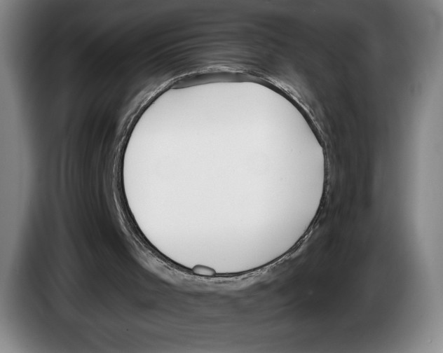 X0000083530001200703091522