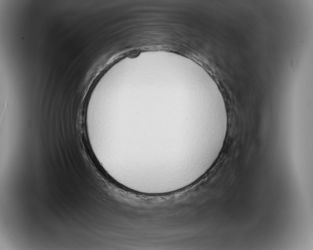 X0000083530002200703091522