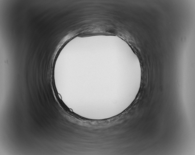 X0000083530003200703091522