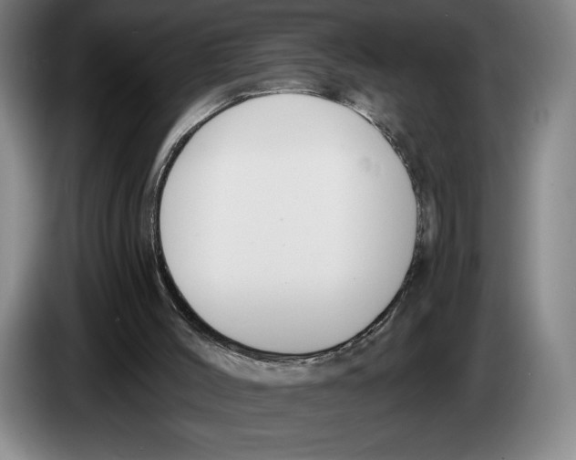 X0000083530004200703091522