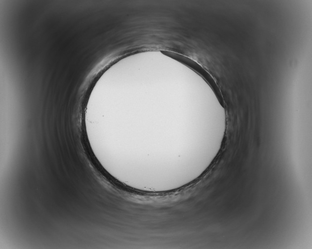 X0000083530005200703091522