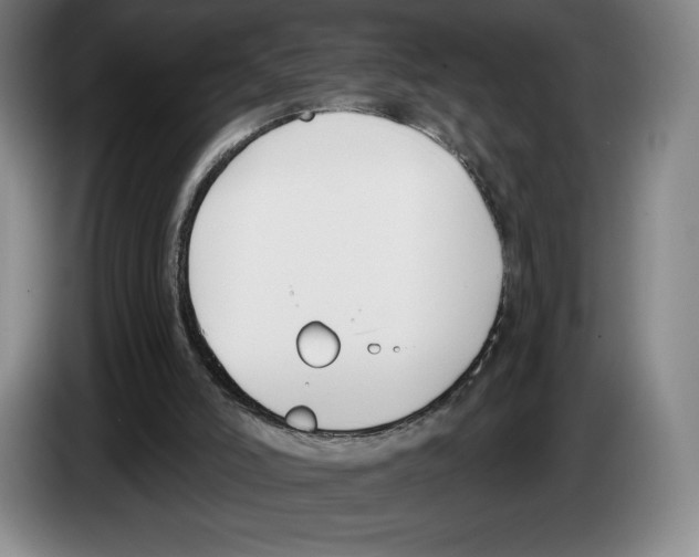 X0000083530006200703091522